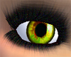 Acid Eyes (F)