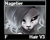 Nagetier Hair F V3