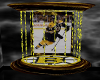 Bruins Wall Dance Cage