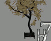 Black Bench & Tree