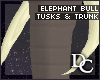 ~DC)Elephant Bull Trunk