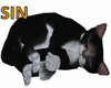 SIN Sleeping Cat