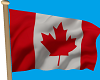Canadian Flag waving