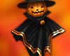 ∆ Witch Pumpkin Pet