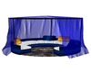 Blue Vers chair