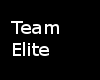 S Team Elite