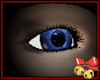 Blue Witch Eye (M)