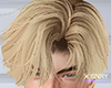 SNRY | Eizen hair . blnd
