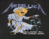 (SMR) Metallica Pic22