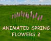 ANIMATED SPRING FLOWERS2
