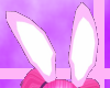 (*) Pink bunnies (*)