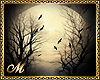 WINTER MOON BG