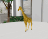 ND| Gold Giraffe