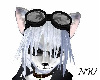Wolf Goggles
