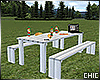 !T! Picnic Table