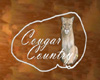 Cougar Country Sign