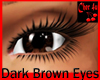 Dark  Brown Eyes