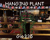 GI*HANGING PLANT