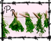 <Pp> Hanging Herbs