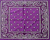 Bandana #19