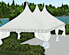 Wedding/Event Tent
