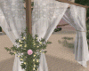 Z+Wedding Beaches