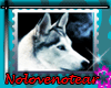 NLNT*Wolf Stamp[4]