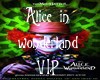 AiW VIP bundle