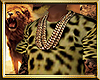Afrika