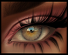 Aura Soft Smoke Eyes