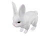 🐇  Ester Rabbit