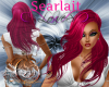 SEARLAIT .S PINK