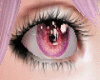 Eyes / CHANI 15 Manga