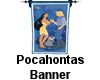 (MR) Pocahontas Banner
