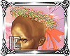 🌷Amadita crown