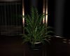 MODERN POTTED PLANT