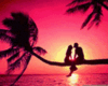 Sunset Picture animated