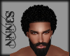 S3N - Afro Black Hair