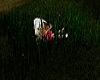 ~HD~kissin  in the grass