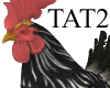 TAT2's ROOSTER