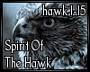 Spirit Of The Hawk