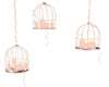 Lamps Cages