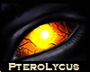 PteroLycus Demon Eyes
