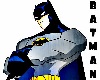 *RS*Batman pic