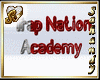 "S" TRAP ACADEMY SIGN