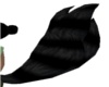 Black Coon Tail