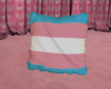 Transgender Pillow