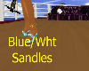 Blue/White Sandles