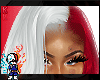 Todoroki Tina Collextion