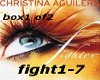 Fighter B1of2 ChristinaA